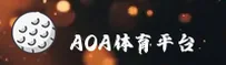 AOA体育(AOA)官方网站 · 尊享非凡体验 · 7H2K